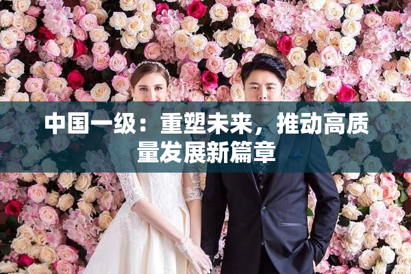 中国一级：重塑未来，推动高质量发展新篇章