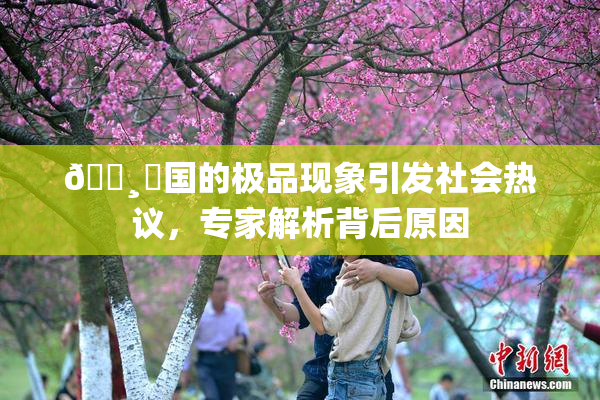 🌸‌国的极品现象引发社会热议，专家解析背后原因