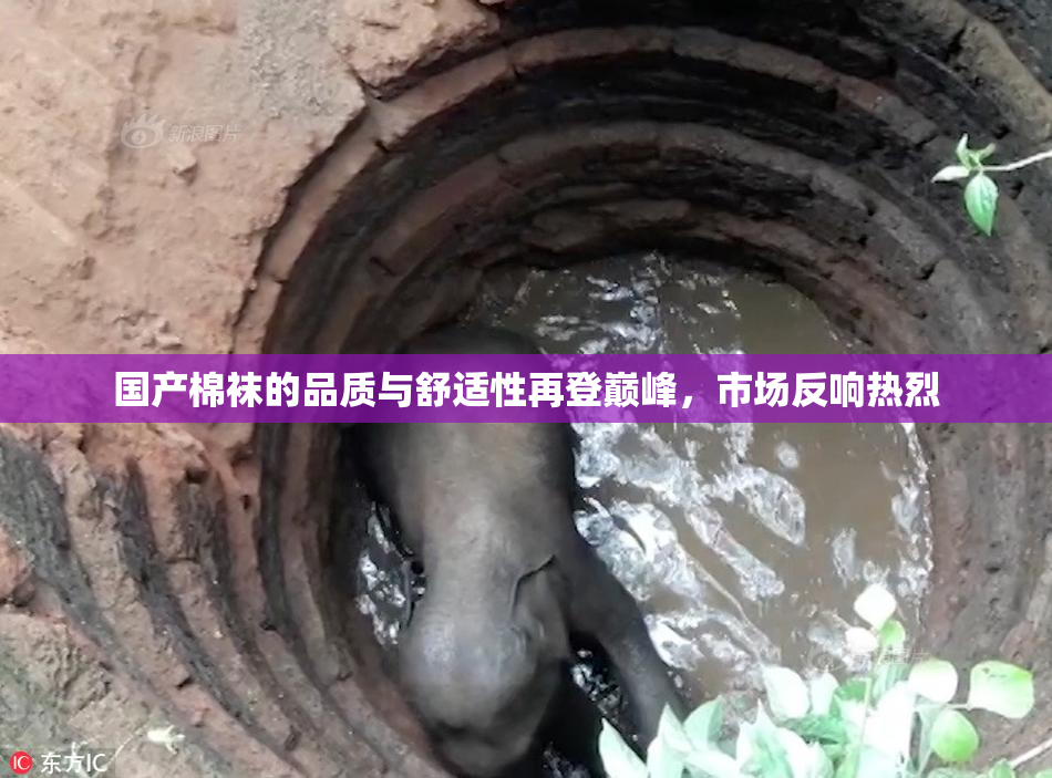 国产棉袜的品质与舒适性再登巅峰，市场反响热烈