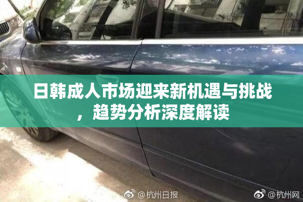 日韩成人市场迎来新机遇与挑战，趋势分析深度解读