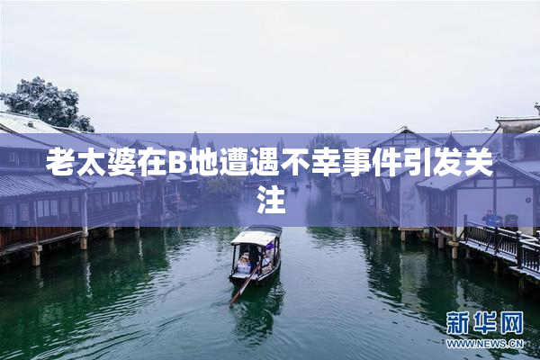 老太婆在B地遭遇不幸事件引发关注