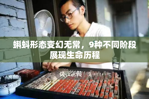蝌蚪形态变幻无常，9种不同阶段展现生命历程
