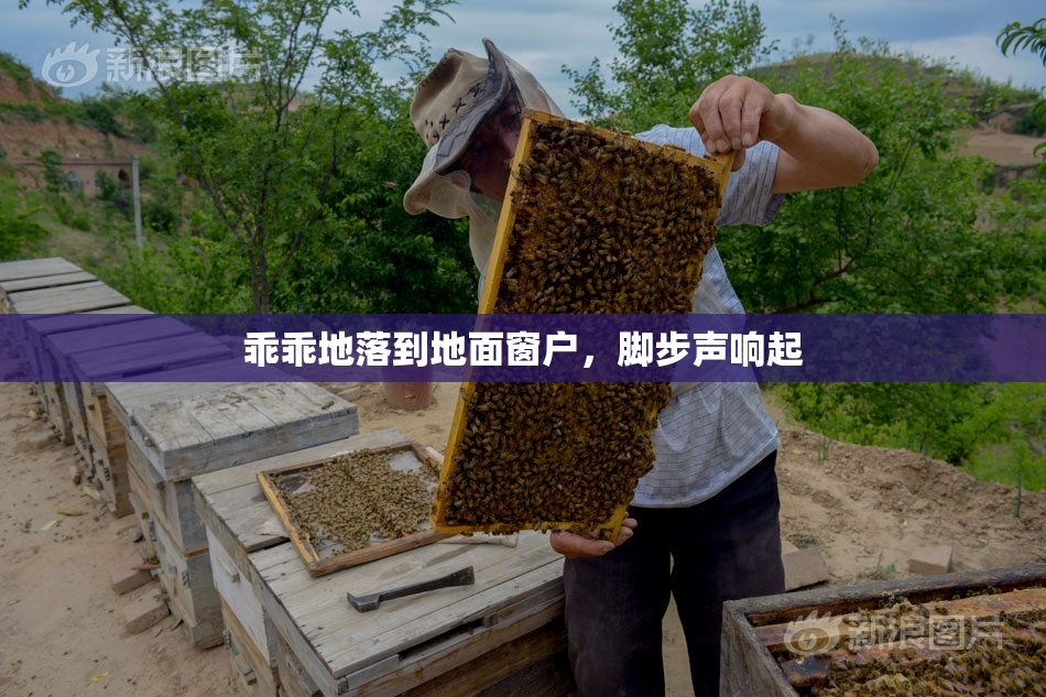 乖乖地落到地面窗户，脚步声响起