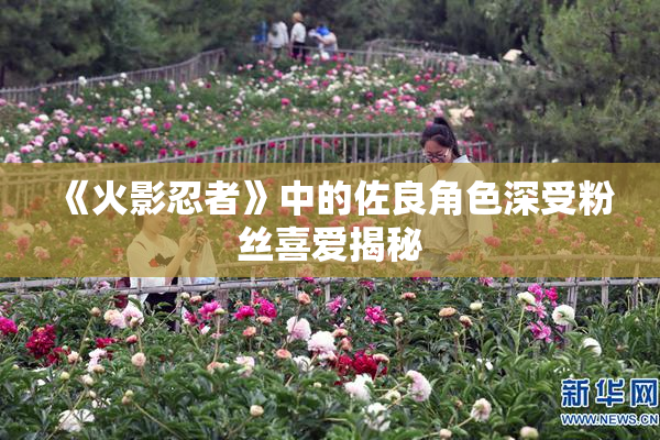 《火影忍者》中的佐良角色深受粉丝喜爱揭秘