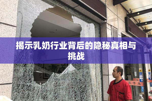 揭示乳奶行业背后的隐秘真相与挑战