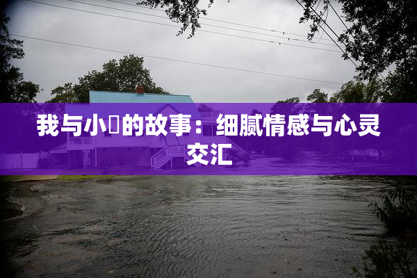 我与小娻的故事：细腻情感与心灵交汇