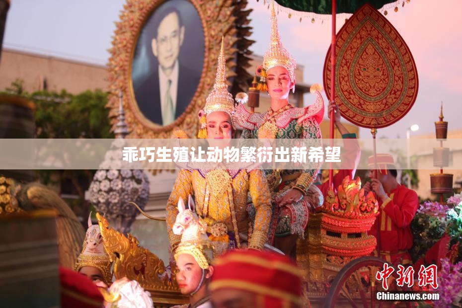 乖巧生殖让动物繁衍出新希望