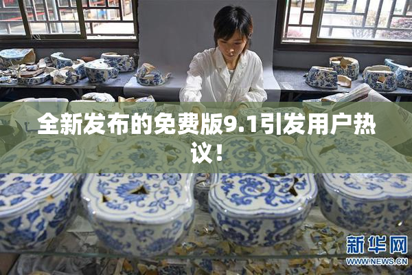 全新发布的免费版9.1引发用户热议！