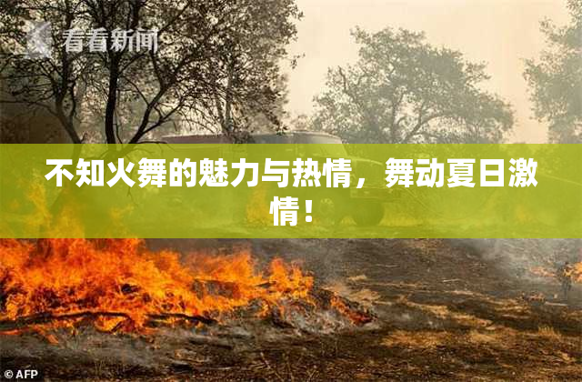 不知火舞的魅力与热情，舞动夏日激情！