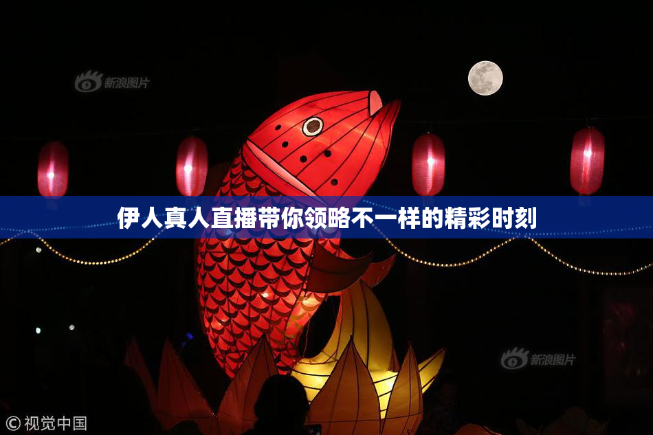伊人真人直播带你领略不一样的精彩时刻