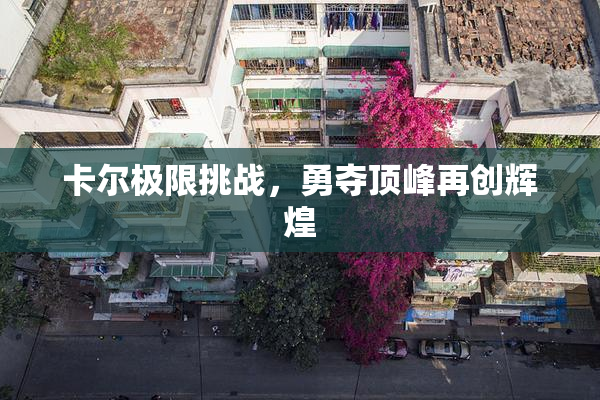 卡尔极限挑战，勇夺顶峰再创辉煌