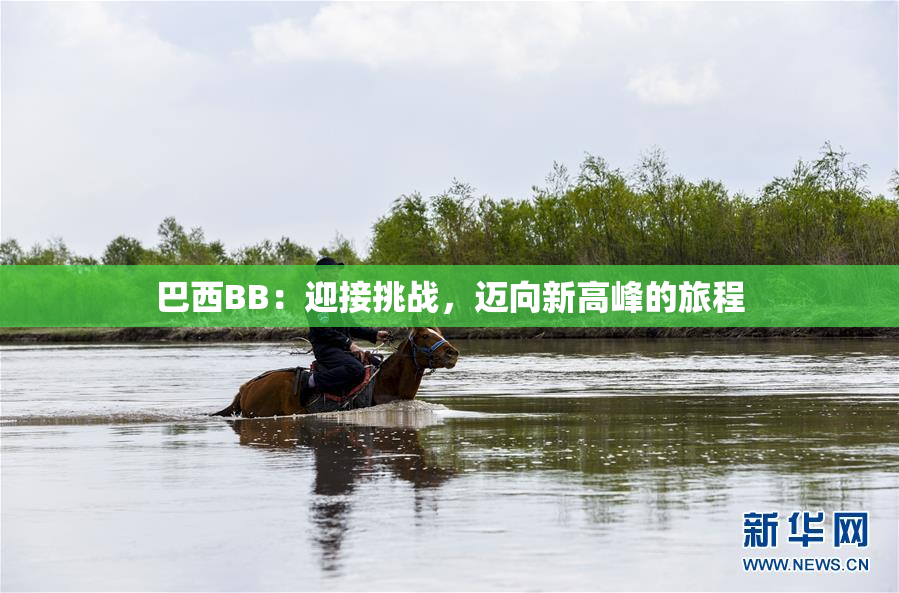巴西BB：迎接挑战，迈向新高峰的旅程