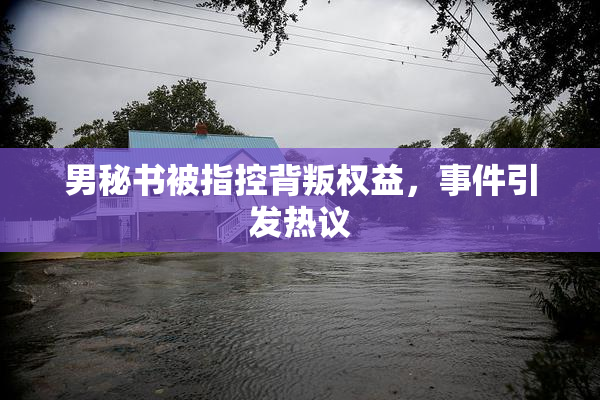 男秘书被指控背叛权益，事件引发热议