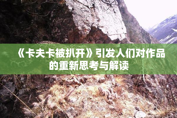 《卡夫卡被扒开》引发人们对作品的重新思考与解读