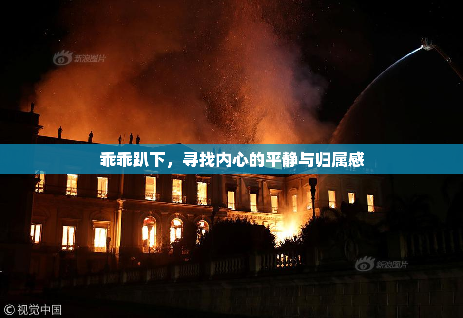 乖乖趴下，寻找内心的平静与归属感