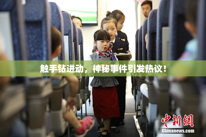 触手钻进动，神秘事件引发热议！
