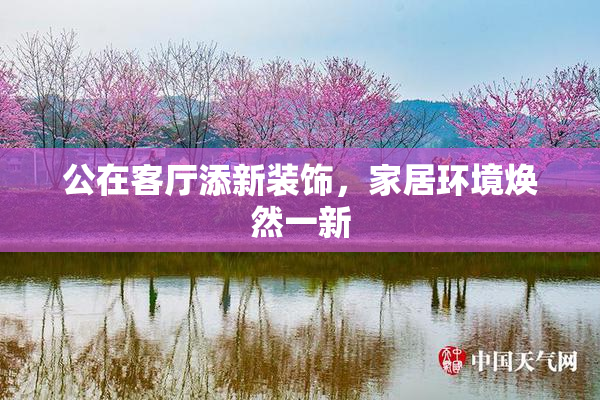 公在客厅添新装饰，家居环境焕然一新