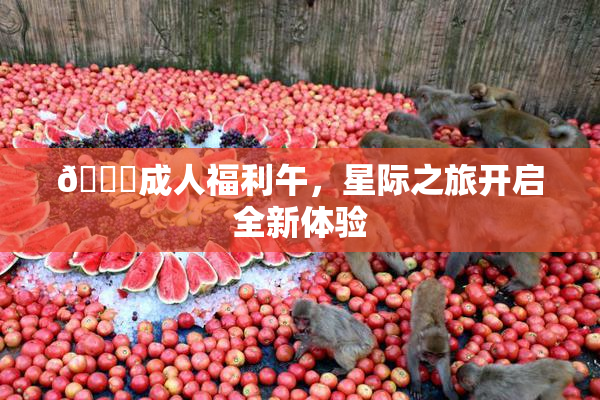 🔞成人福利午，星际之旅开启全新体验