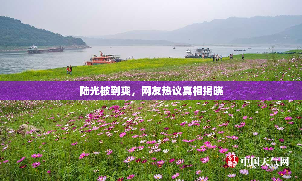 陆光被到爽，网友热议真相揭晓