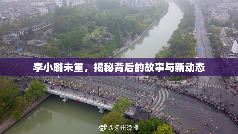李小璐未重，揭秘背后的故事与新动态