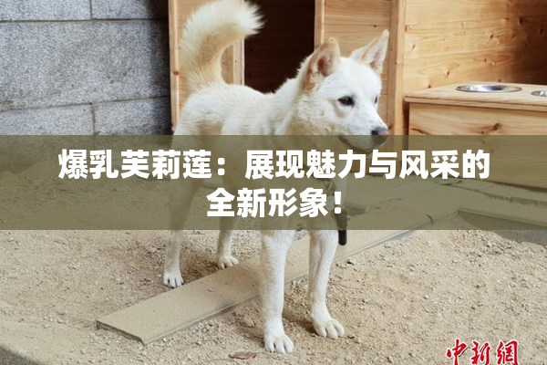 爆乳芙莉莲：展现魅力与风采的全新形象！