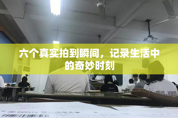 六个真实拍到瞬间，记录生活中的奇妙时刻