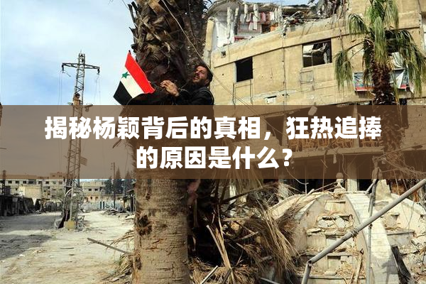 揭秘杨颖背后的真相，狂热追捧的原因是什么？