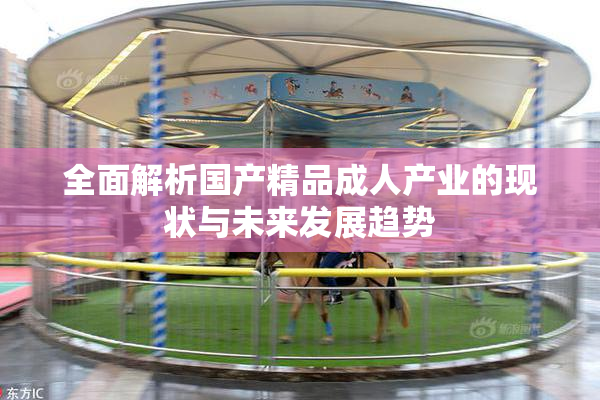 全面解析国产精品成人产业的现状与未来发展趋势