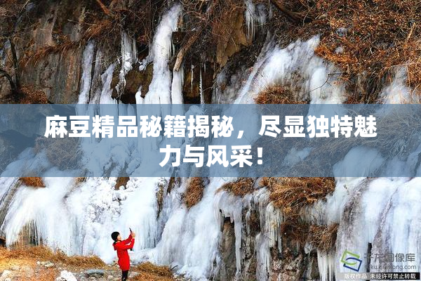 麻豆精品秘籍揭秘，尽显独特魅力与风采！