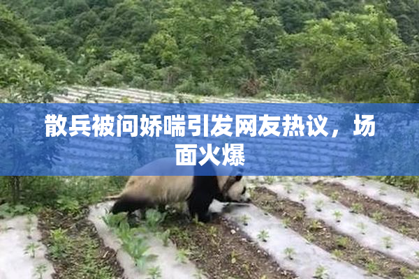 散兵被问娇喘引发网友热议，场面火爆