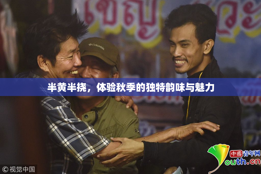 半黄半挠，体验秋季的独特韵味与魅力