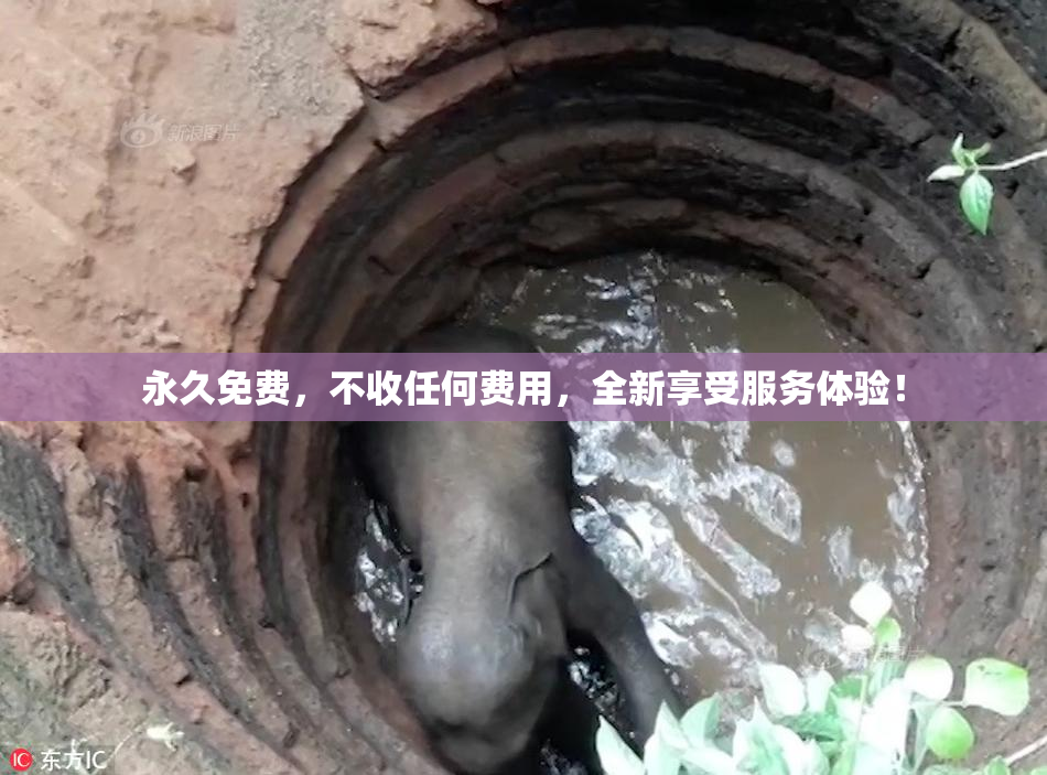 永久免费，不收任何费用，全新享受服务体验！