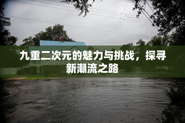 九重二次元的魅力与挑战，探寻新潮流之路