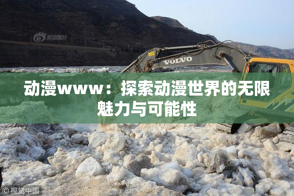 动漫www：探索动漫世界的无限魅力与可能性