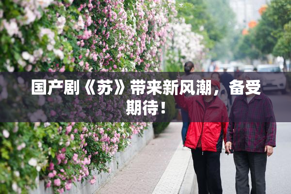 国产剧《苏》带来新风潮，备受期待！