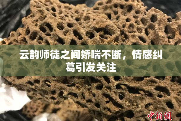 云韵师徒之间娇喘不断，情感纠葛引发关注