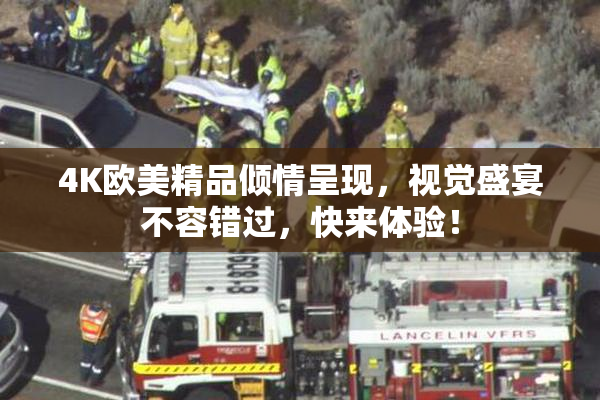 4K欧美精品倾情呈现，视觉盛宴不容错过，快来体验！