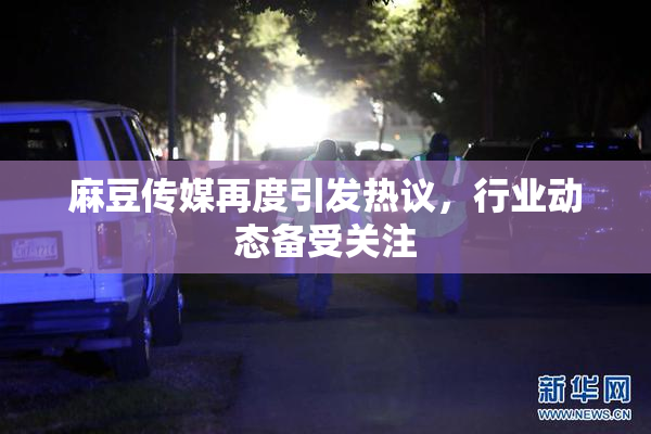麻豆传媒再度引发热议，行业动态备受关注