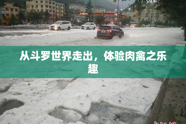 从斗罗世界走出，体验肉禽之乐趣