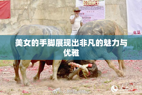 美女的手脚展现出非凡的魅力与优雅