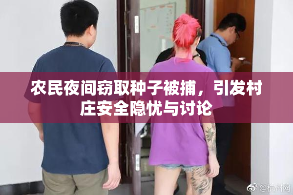 农民夜间窃取种子被捕，引发村庄安全隐忧与讨论