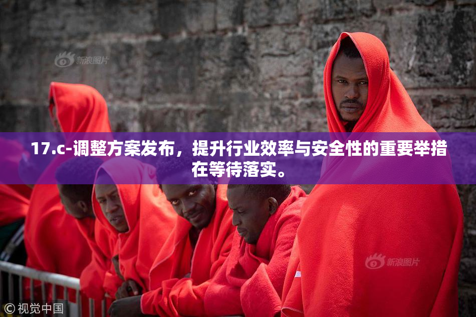 17.c-调整方案发布，提升行业效率与安全性的重要举措在等待落实。