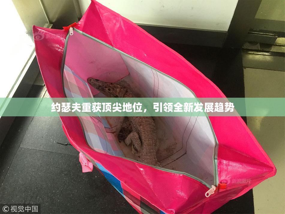 约瑟夫重获顶尖地位，引领全新发展趋势