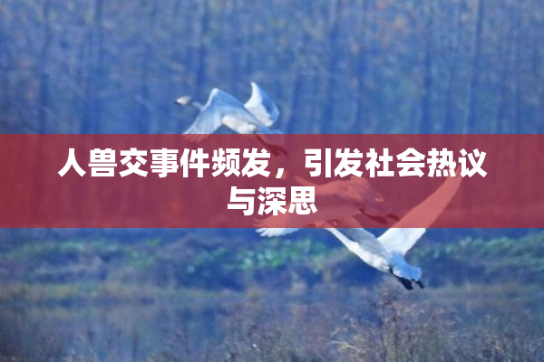 人兽交事件频发，引发社会热议与深思