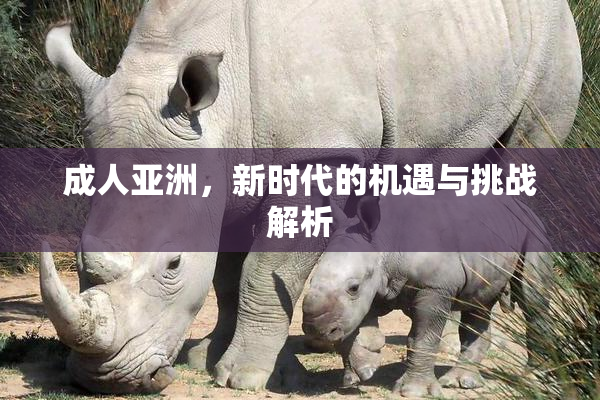 成人亚洲，新时代的机遇与挑战解析