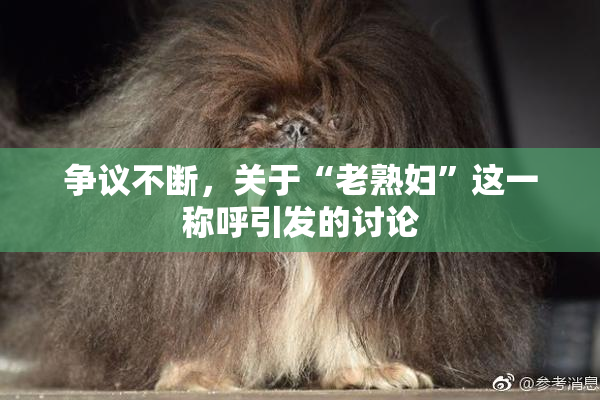 争议不断，关于“老熟妇”这一称呼引发的讨论