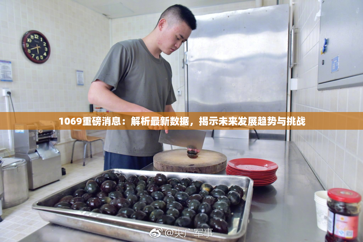 1069重磅消息：解析最新数据，揭示未来发展趋势与挑战