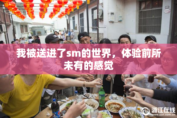 我被送进了sm的世界，体验前所未有的感觉