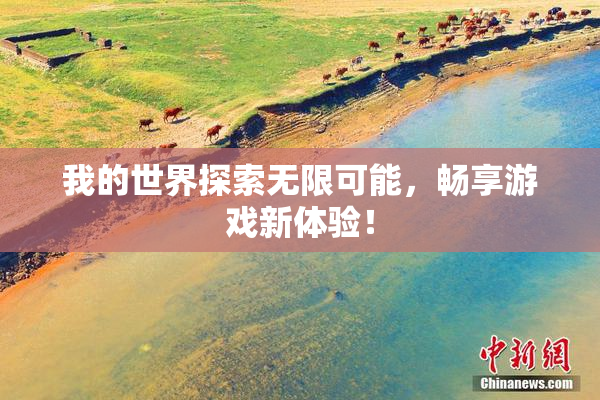 我的世界探索无限可能，畅享游戏新体验！