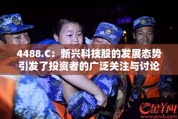 4488.C：新兴科技股的发展态势引发了投资者的广泛关注与讨论。